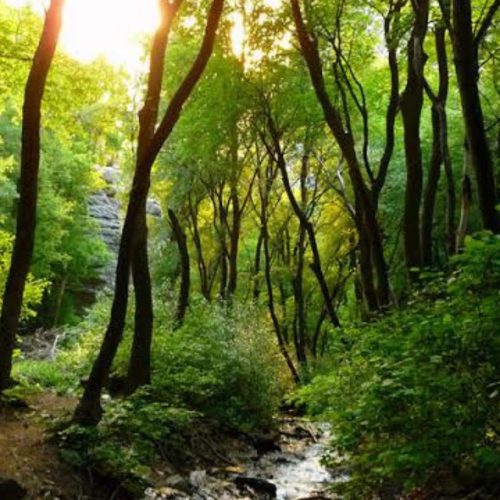 A Guide to Hike the Ferguson Canyon Trailhead