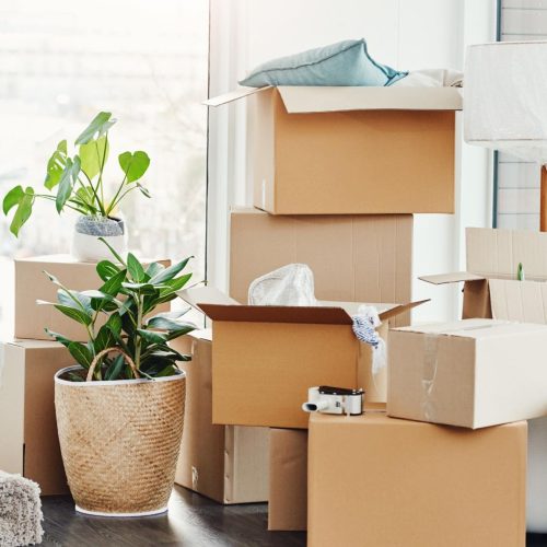 Relocation Guide: Smooth Transition to Your New Home